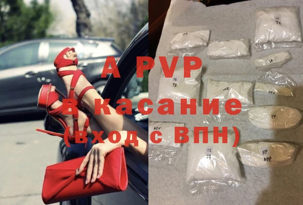 мдпв Богданович