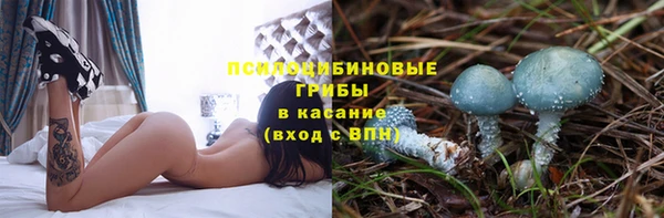 стаф Сясьстрой