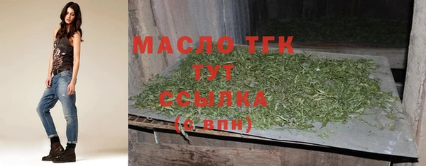 мдпв Богданович